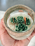 Succulents Jar Candle