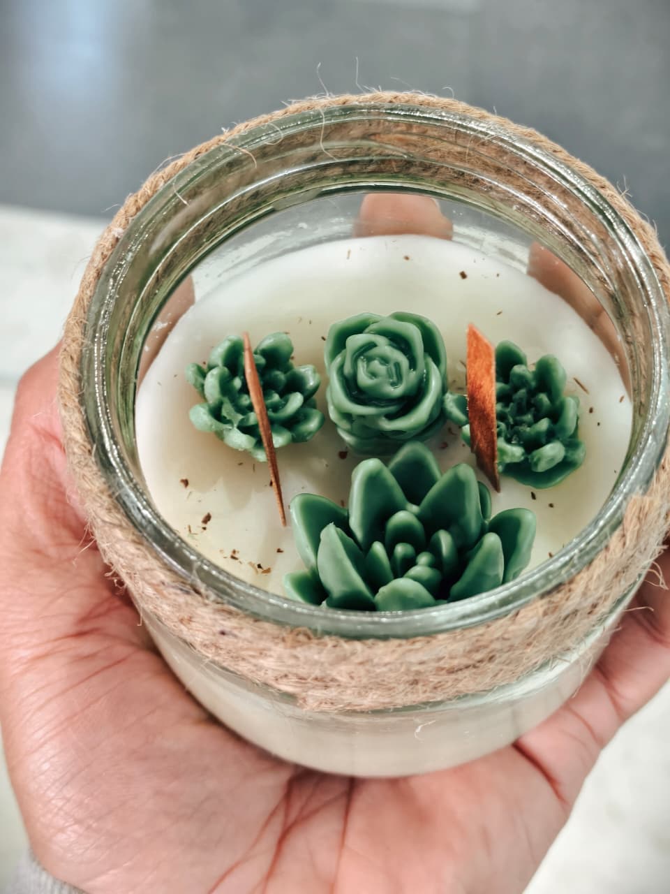 Succulents Jar Candle