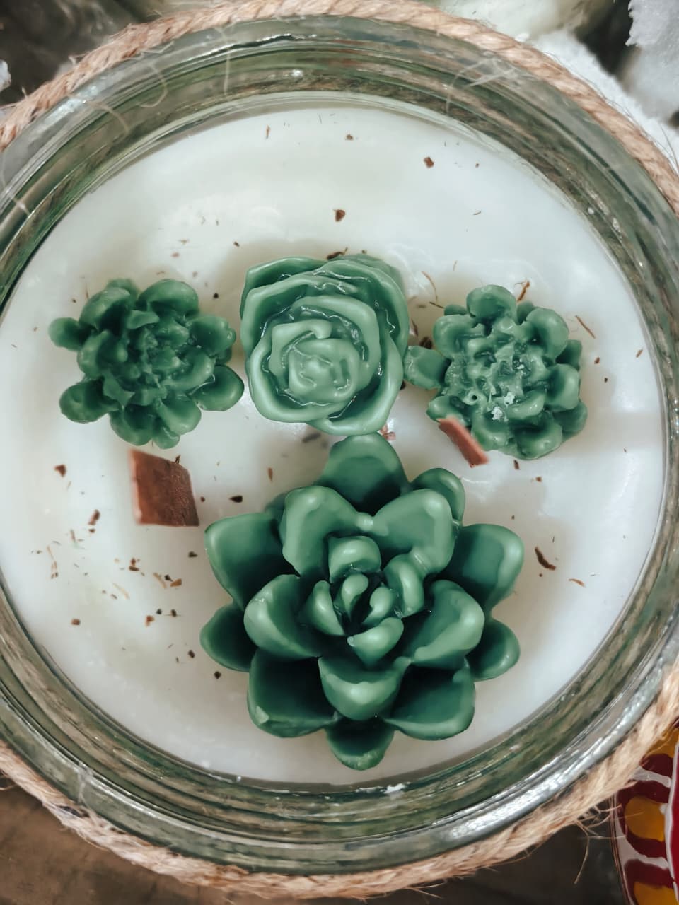 Succulents Jar Candle