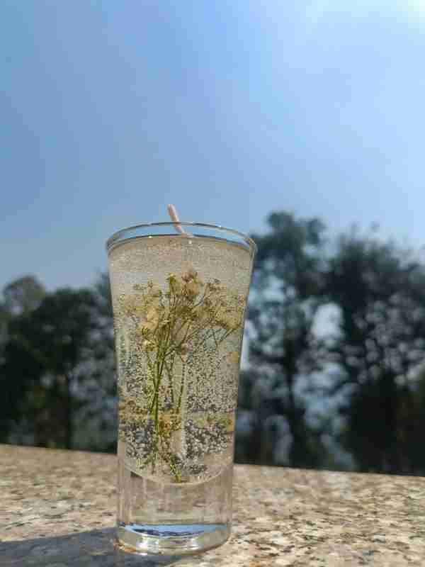 Plant Candle